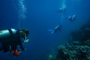 A researcher following scuba divers to collect data for video-assisted underwater observations of diver behaviour