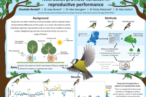Charlotte Bendel MEEB Poster PGR CoSE conference 2026