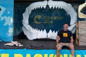 Outdoor stage setup with a large white model of a shark’s open jaws framing a backdrop that reads “Chester Zoo”; a person sits at the front of the stage, with additional props including a shark jaw display on a crate, ropes, and a suspended shark head model on either side.