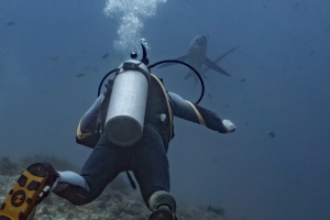 A scuba diver resting on a reef in Leyte, Philippines.