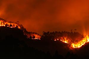 A blazing forest fire spreads across a mountainous landscape, illuminating the night sky