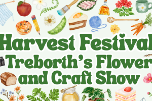 Harvest Festival Treborth 