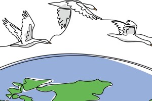 Photo of top of a globe with doves