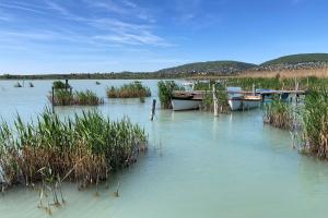 An image of Lake Balaton (Recreation and reed habitat)