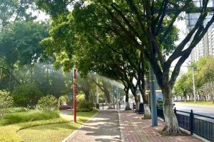 Urban vegetation 