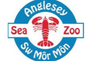 Anglesey Sea Zoo
