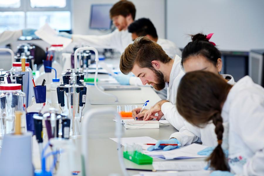 A group of students working in the lab.