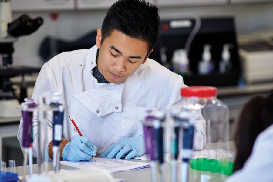 Student working in a lab