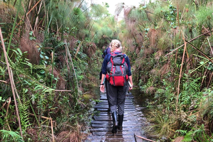 Student walking through a forest in Uganda on field trip