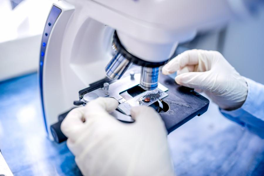 Scientist hands with microscope examining samples and liquid