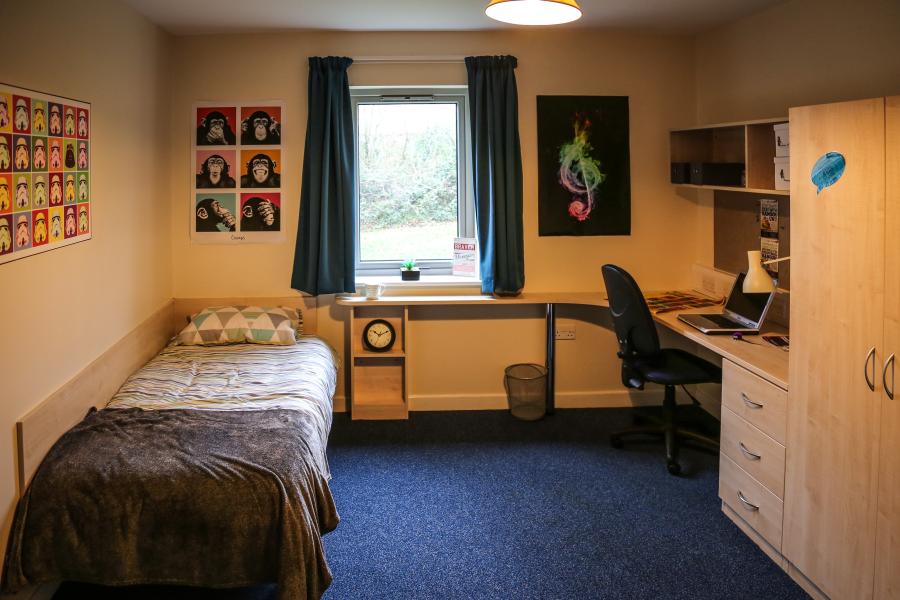 A large room in Adda halls of residence at Ffriddoedd Student Village