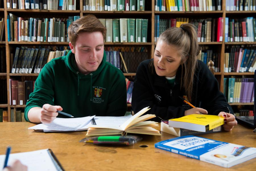 Two students studying at the Main Arts Library