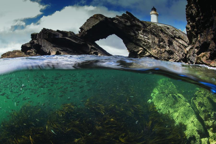 Costal lighthouse with marine life underwater