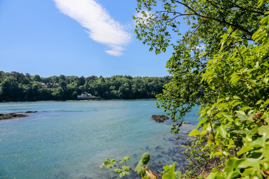 The wildlife and beautiful scenery surrounding the Menai Straits between Bangor and Anglesey