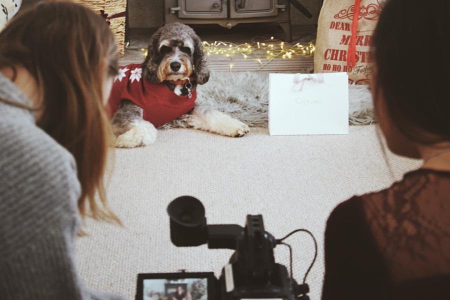 People filming an advert