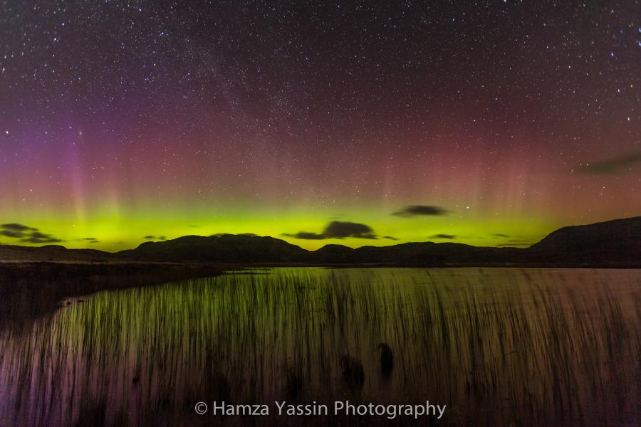 One of Hamza Yassin's incredible wildlife images