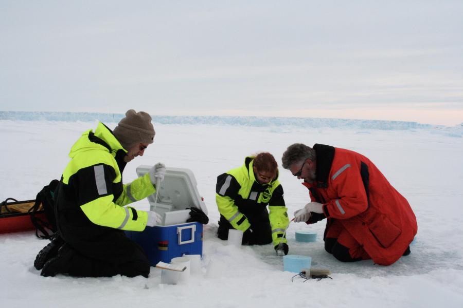 people chrouched at work on antarctic sea ice.