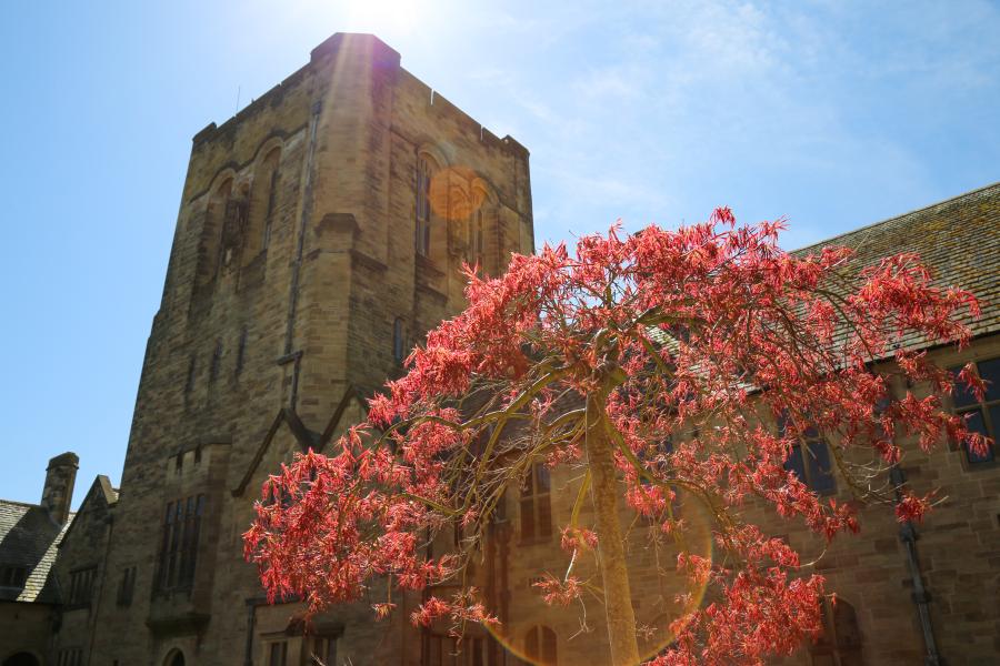 Main arts quad turret & tree