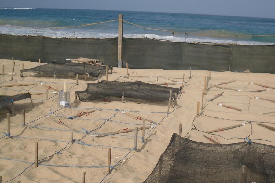 A beach with some rectangular areas of sand shaded with black netting.