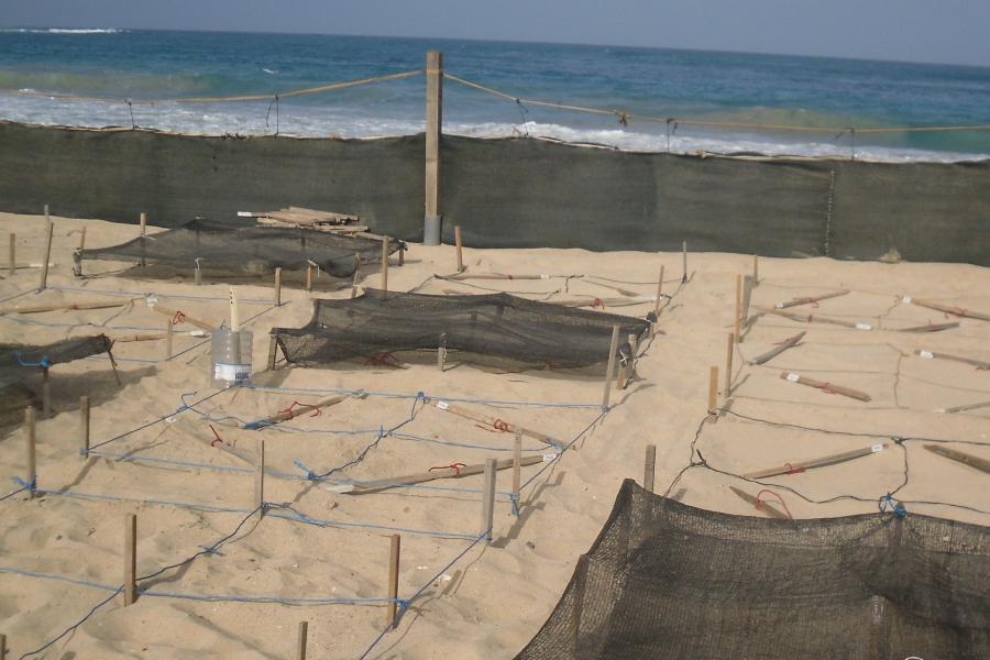 A beach with some rectangular areas of sand shaded with black netting.