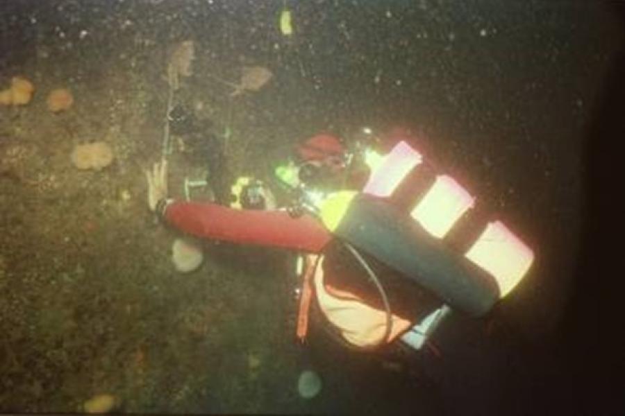 An underwater murky image of a diver surveying an underwater cliff face.