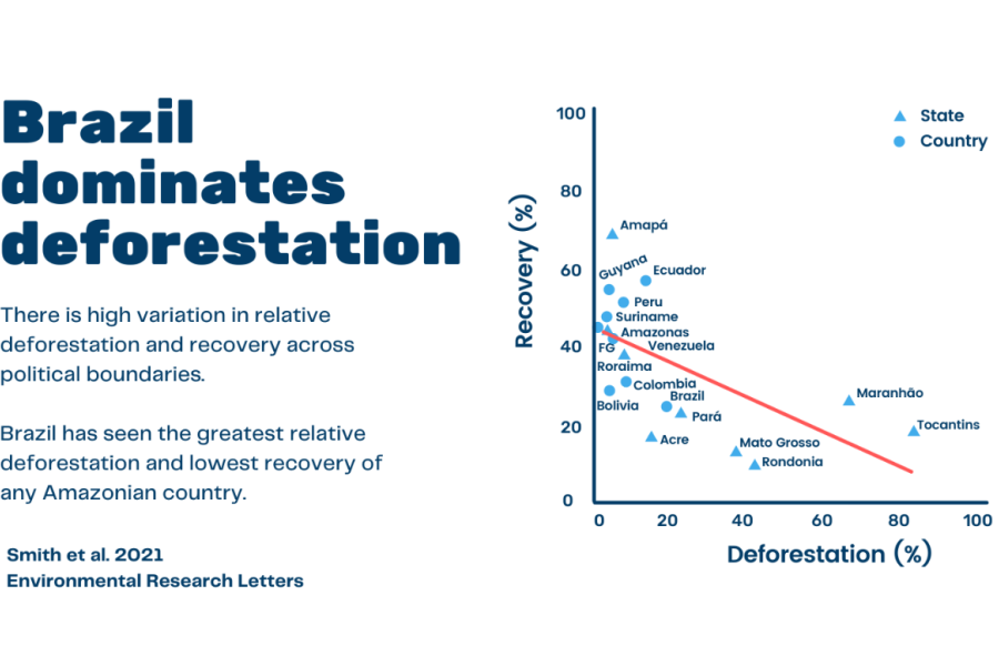 Chart showing that Brazil dominates deforestation