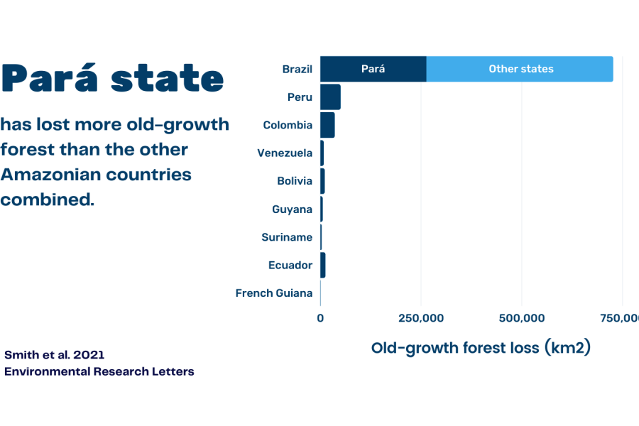  a chart showing that Para state has lost more old-growth forest than other Amazonian countries combined