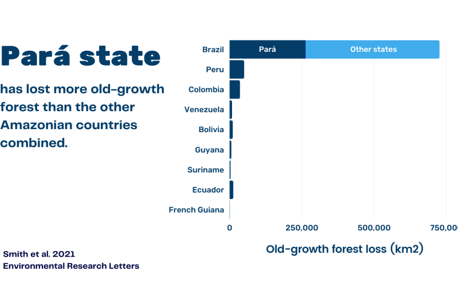 a chart showing that Para state has lost more old-growth forest than other Amazonian countries combined