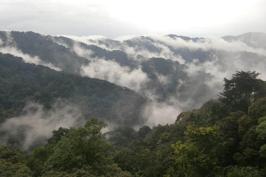  clouds rising from aforested hills