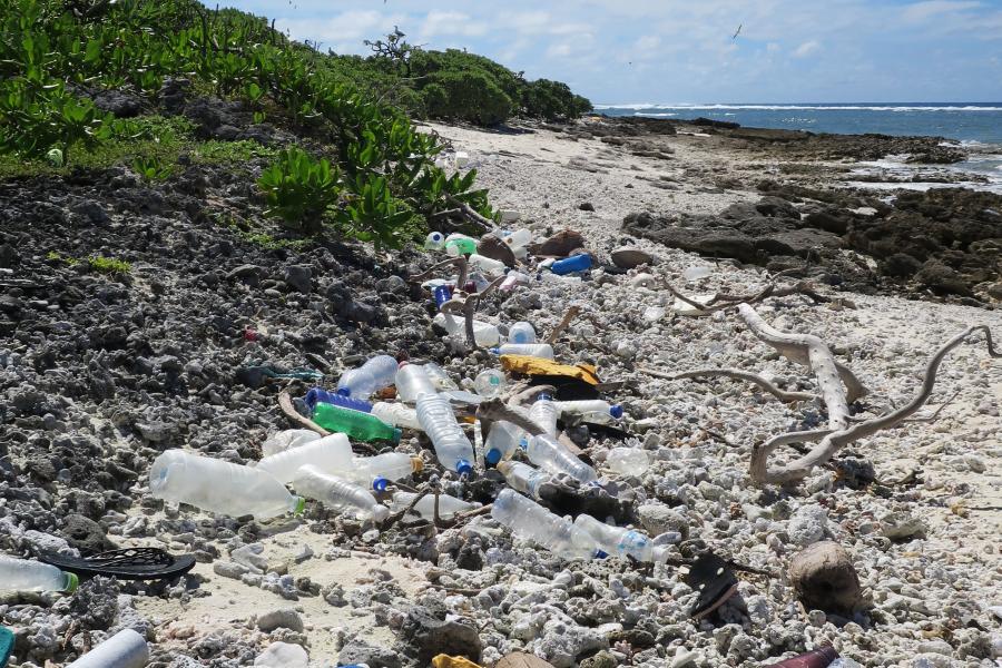 Plastic bottles line a high tide mark