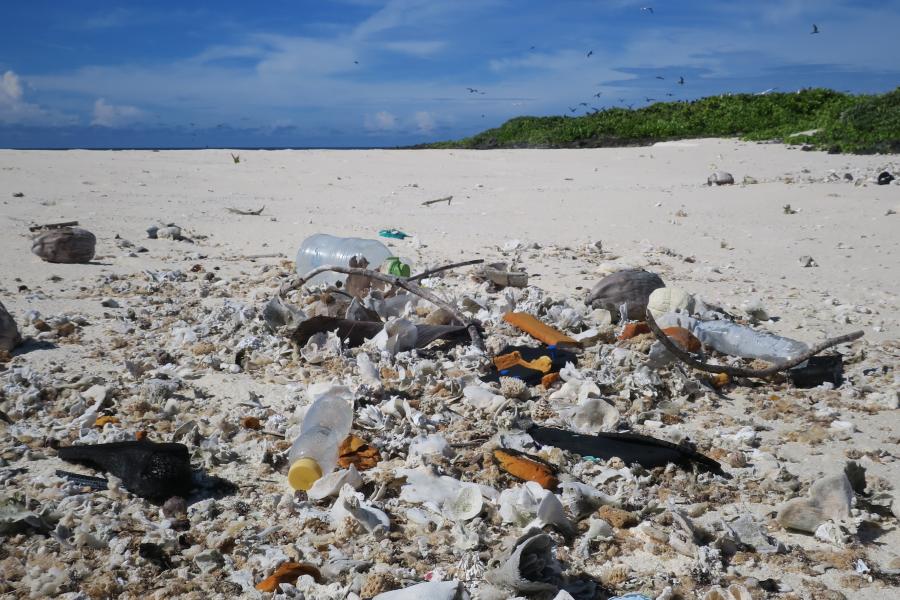 Aplastic bottle lies on what would be a pristine beach