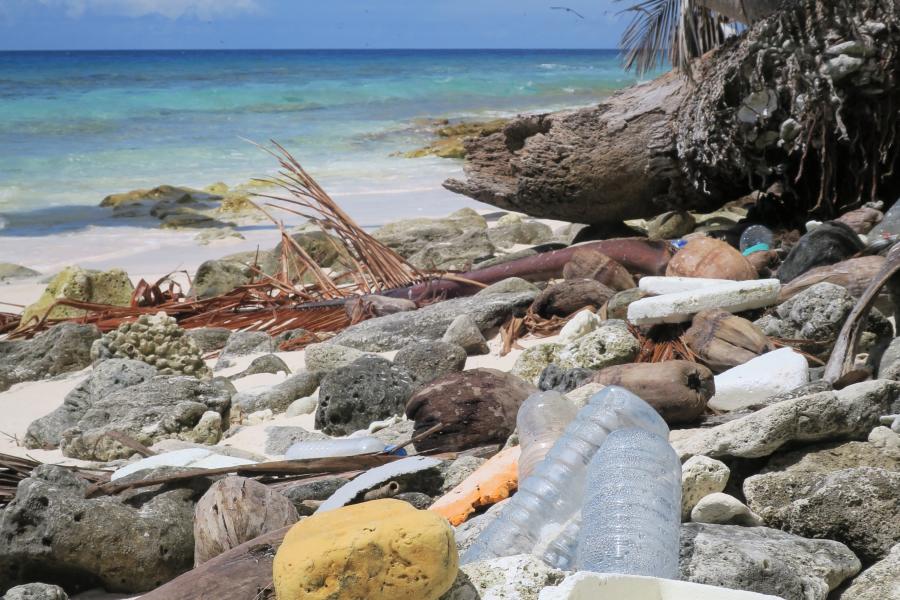 plastic in foreground on a palm fringed beach