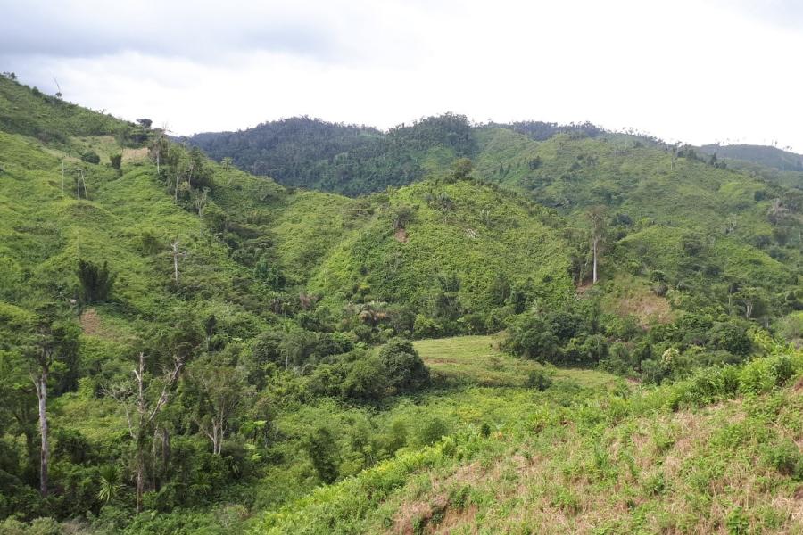 Deforestation in Eastern Madagascar