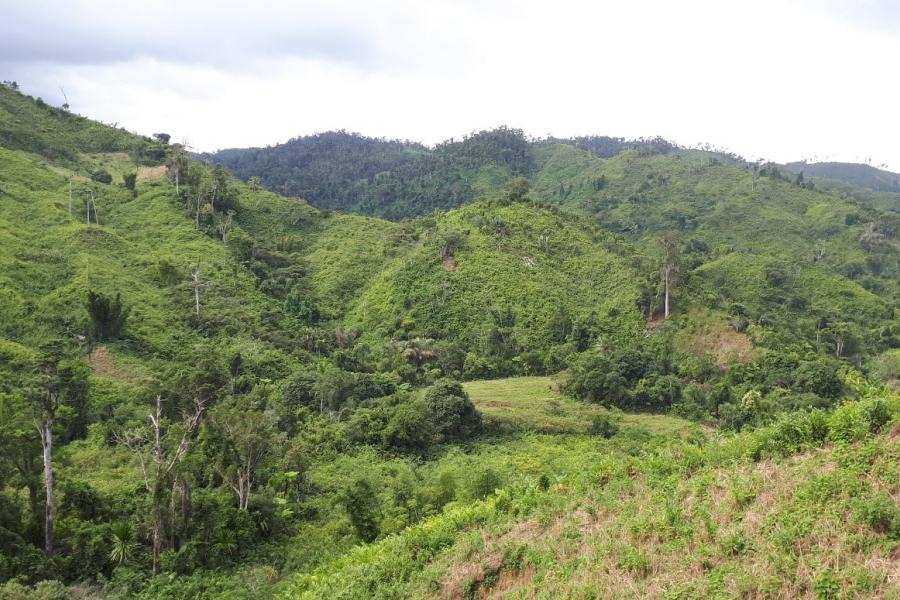 Deforestation  in Eastern Madagascar