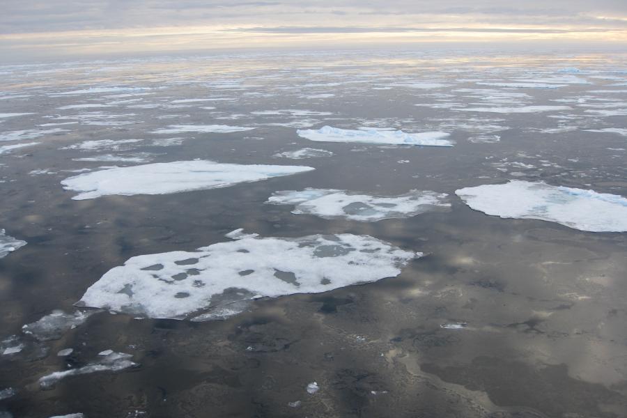 pieces of sea ice