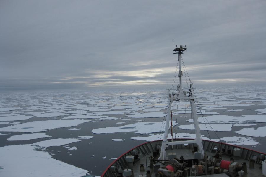 Sea ice seen from a ship's prow.