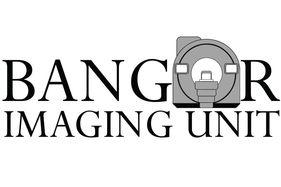 Logo Uned Delweddu Bangor