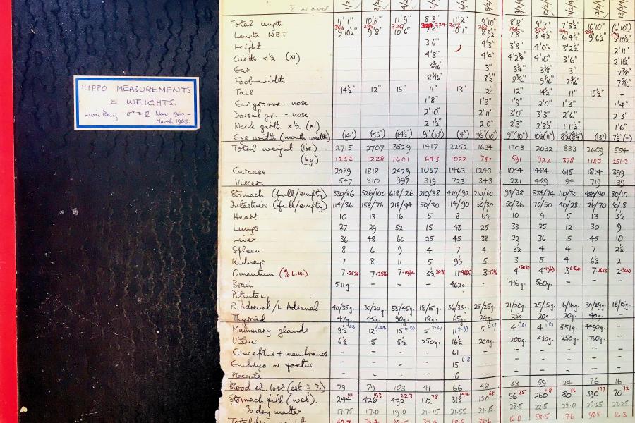 An image of a hand-written record book