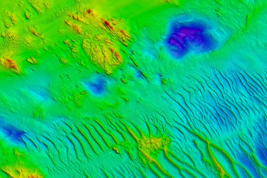 A patchy colouration showing  surface of the seabed.