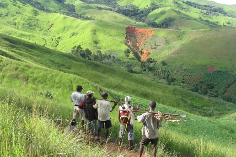A group of men overlook green agricultural land