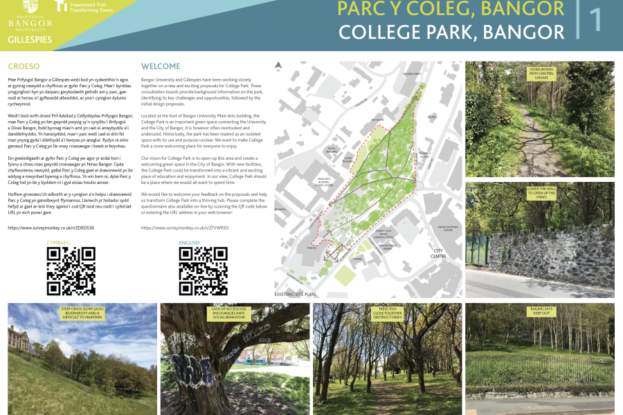 Park College Image - board