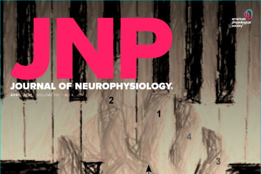 JNP cover