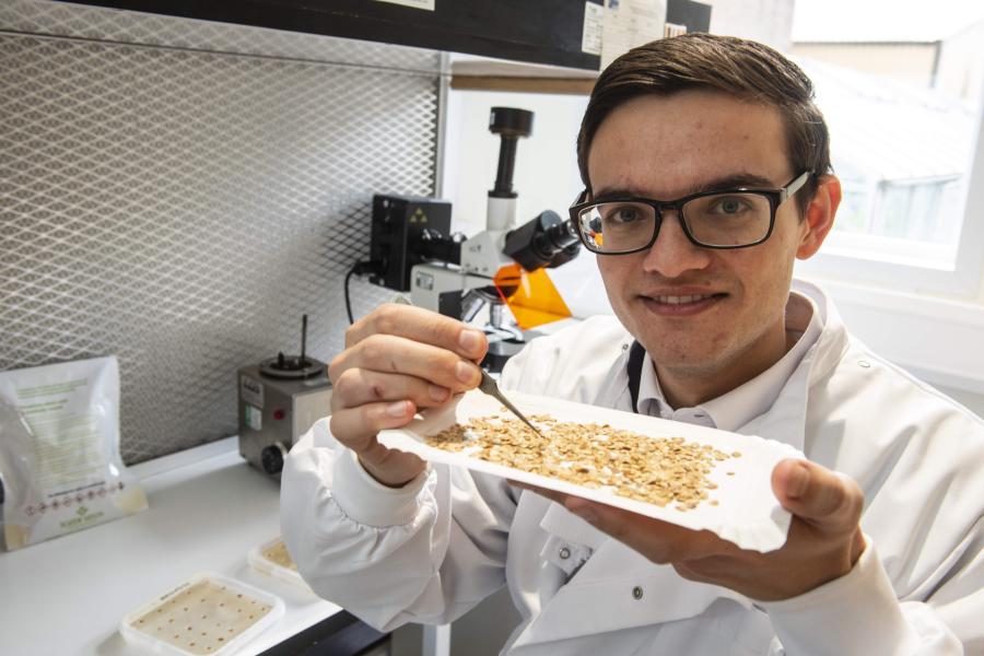 Dr Matthew walker shows some of the seeds