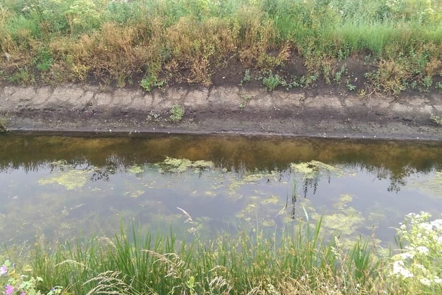 A drainage ditch with a low water level showing brown peat exposed to the air