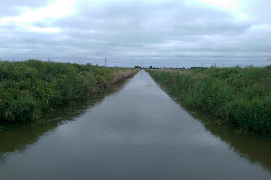 A wide water channel  between wetlands