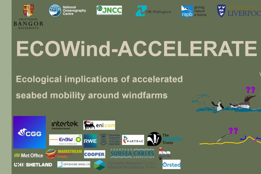  Y geiriau ECOWIND-Accelerate a logos y partneriair ynghyd â darlun bach  o dyrbein gwynt ac aderyn môr