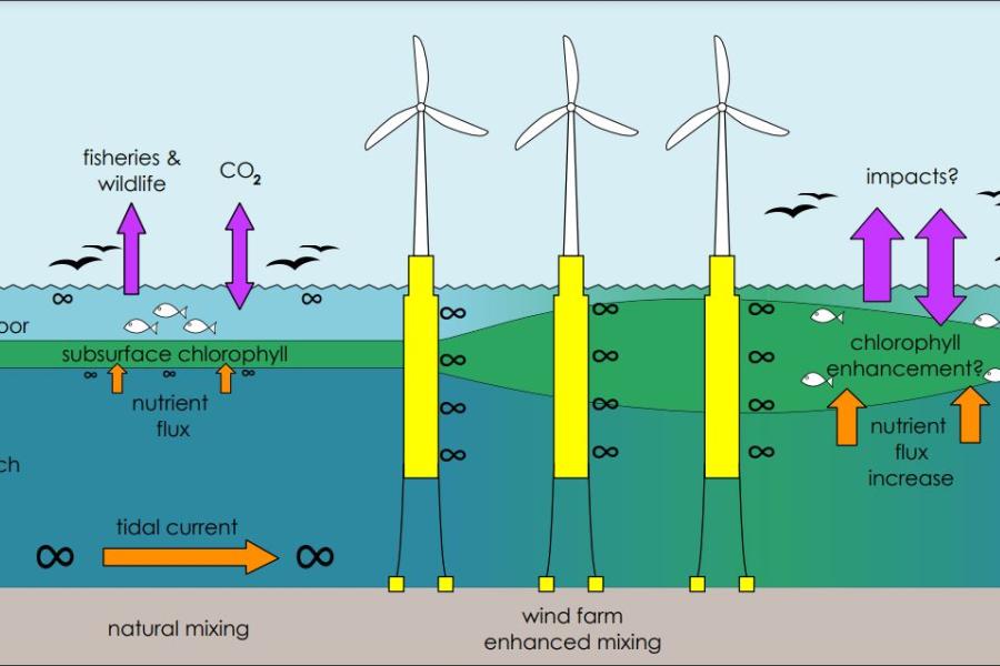  a diagramshows the potential impact of wind infrastructure mixing in stratified water.  Flow past the floating foundations show a wider area of possible mixing between the surface and deep waters behind the tethered turbines sited in the deeper water and beyond.