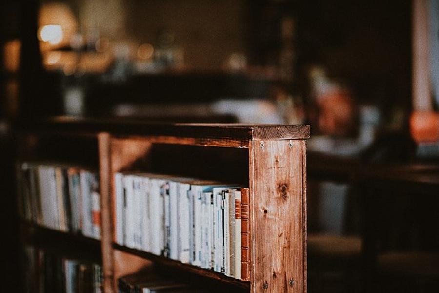 A series of old books on a shelf with the background blurred
