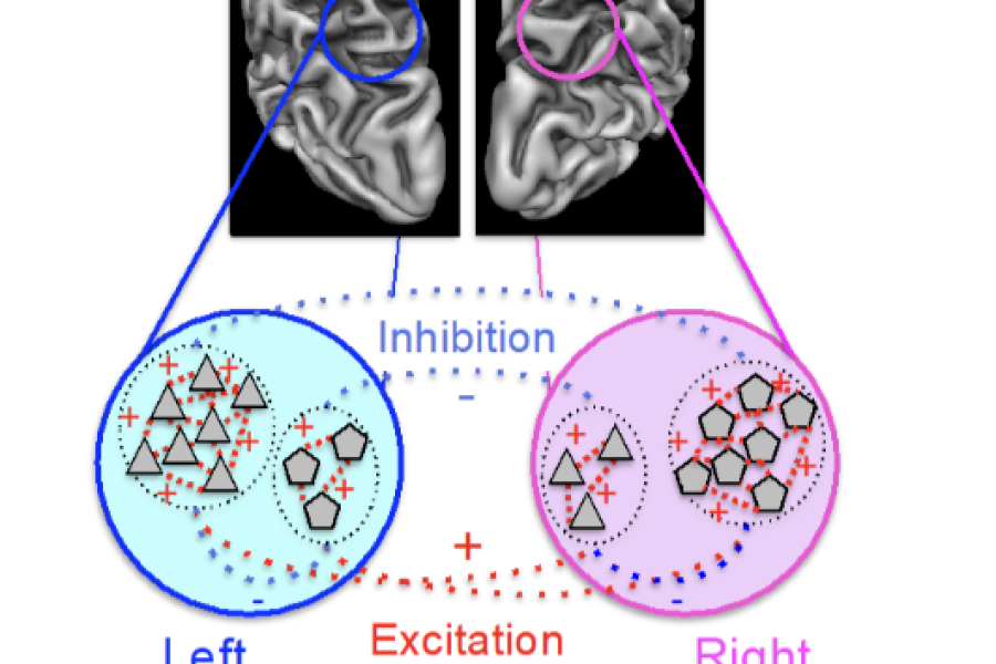 results image from paper. 