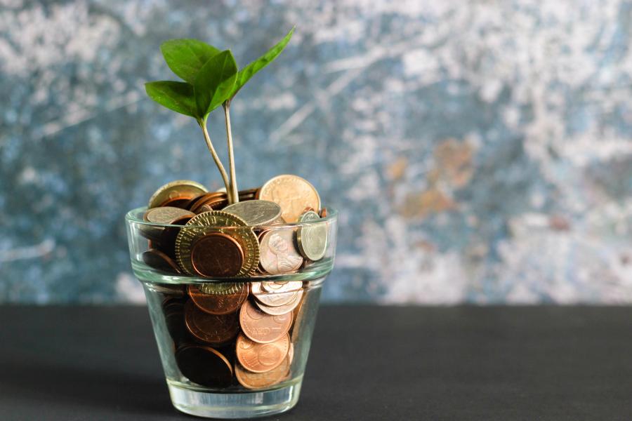 a glass pot filled with copper chang and a plant growing from it